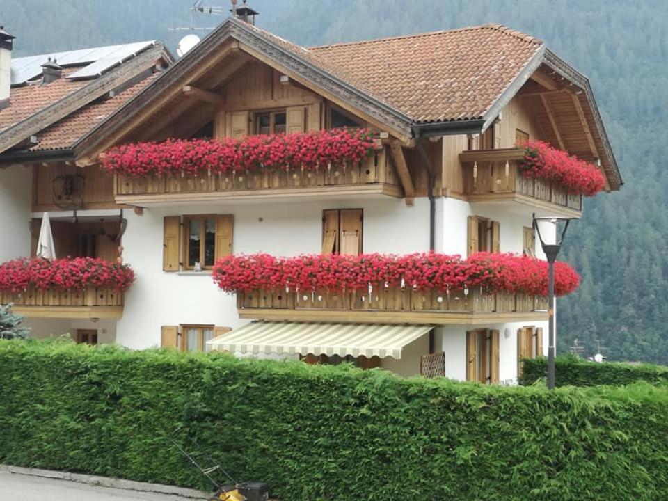 Appartamento Mansarda Patrizia E Franco Val Di Sole Commezzadura Buitenkant foto